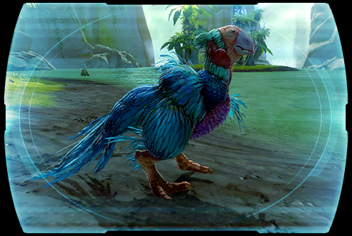 Oiseau oro