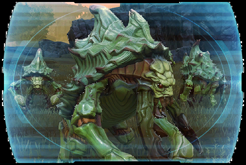 Shaclaw