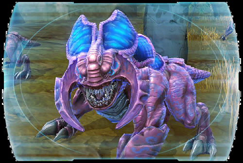 Mawvorr